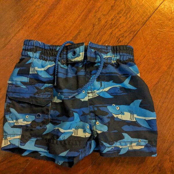 Swimming shorts
