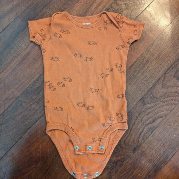 Orange onesie