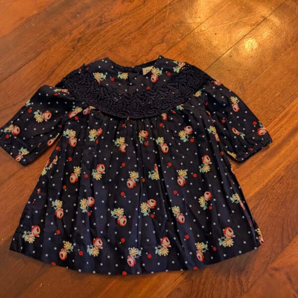 baby gap Dress