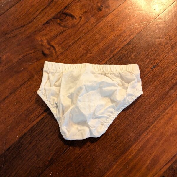 Diaper Cover/ Bloomers